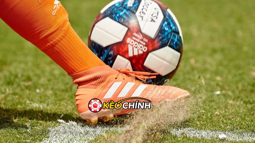 Kèo Score Box là gì