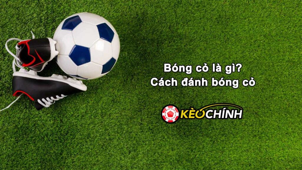 Bóng cỏ là gì