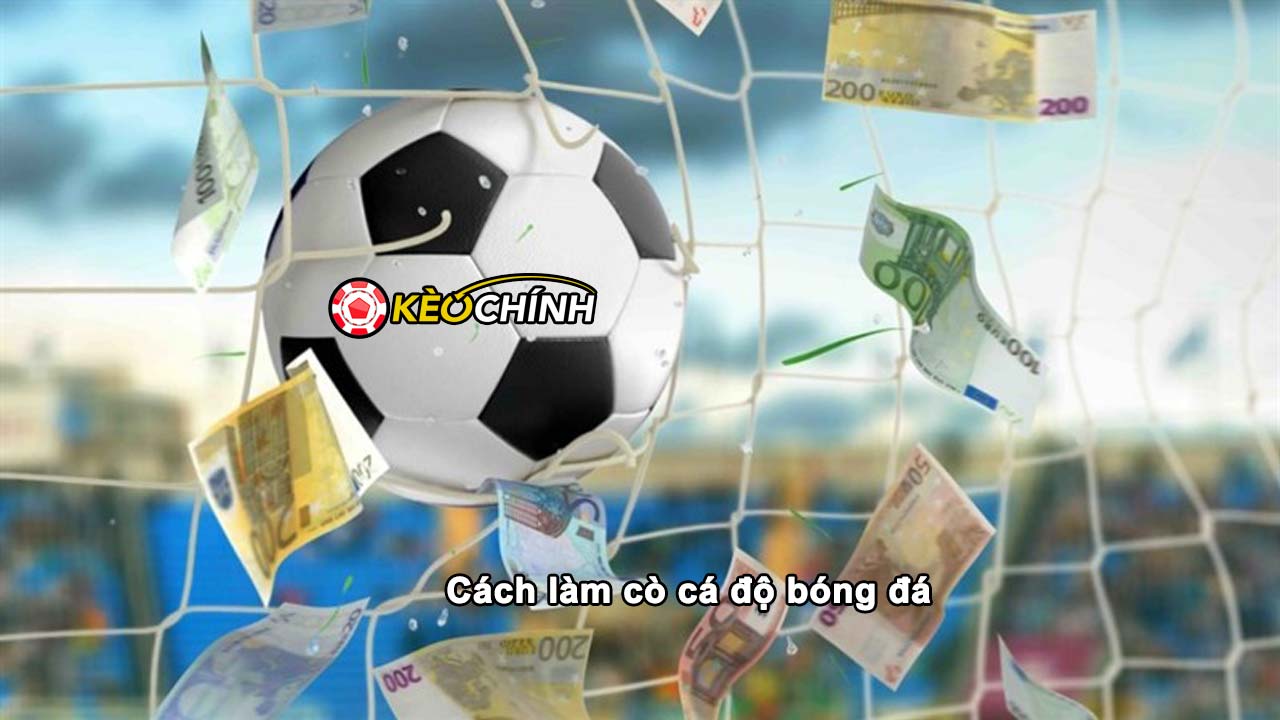 Cách làm cò cá độ bóng đá? Có nên làm cò để kiếm tiền không Cách làm cò cá độ bóng đá
