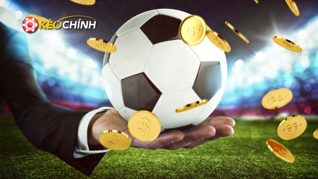 Mẹo tránh bẫy nhà cái mà nhiều tân thủ chưa nắm được