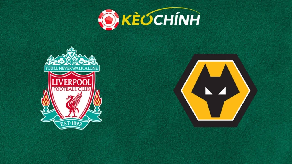 Soi kèo trận Liverpool vs Wolves 16/02/2025