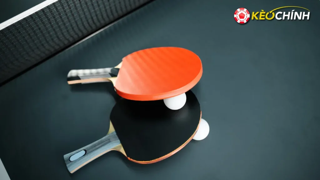 Cách chơi cá cược bóng bàn